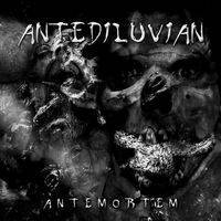 Antediluvian (TUR) : Antemortem